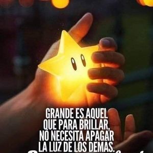 Meet your Posher, Armando